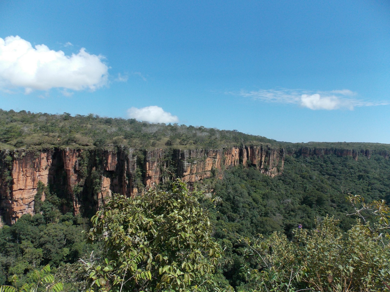 Paredões rochosos e vegetação nativa da Chapada dos Guimarães sob céu azul, Mato Grosso